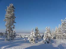 Karelien, Finnland, Finnisch-Karelien: Schneebedeckte Winterlandschaft im Sonnenschein